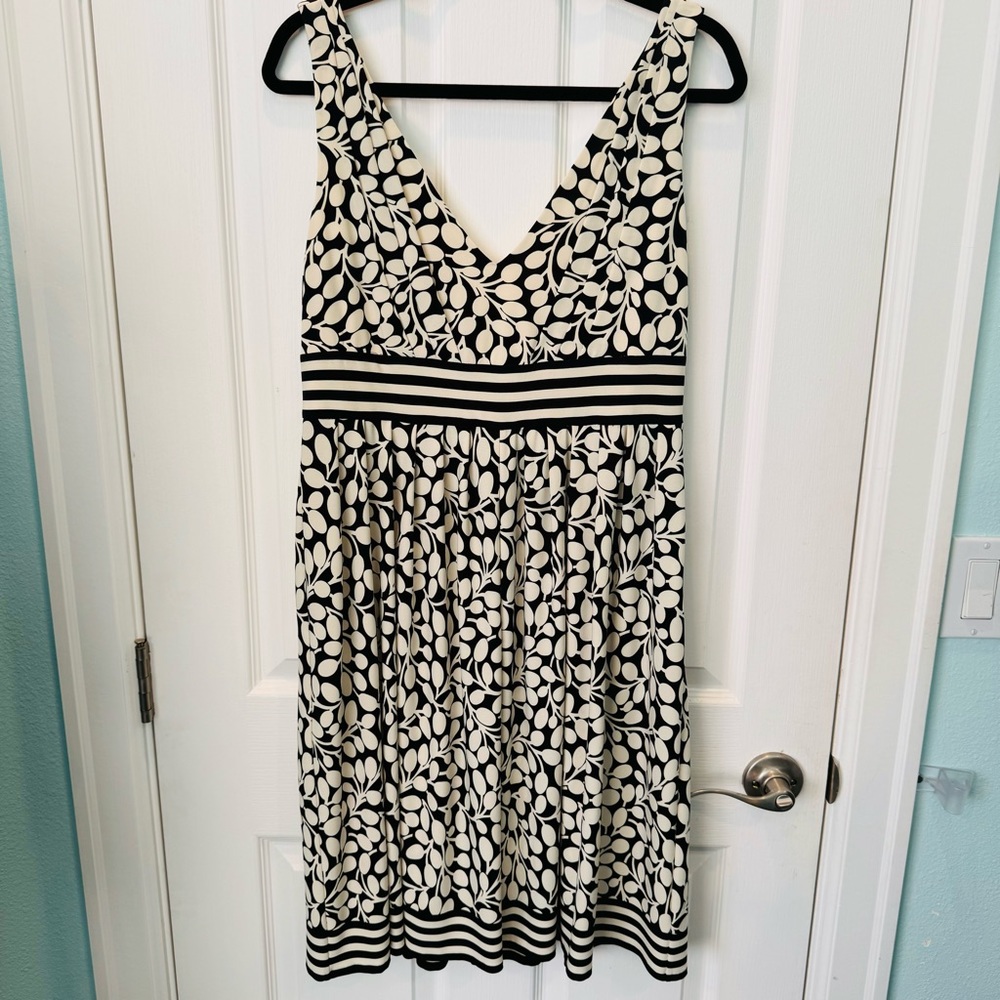 Maggy London Black Cream Dress 14